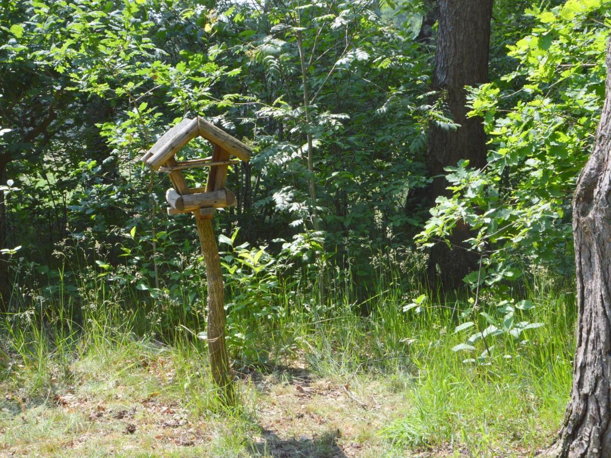 Detached Holiday Home With Sauna Large Garden Stramproy Zewnętrze zdjęcie